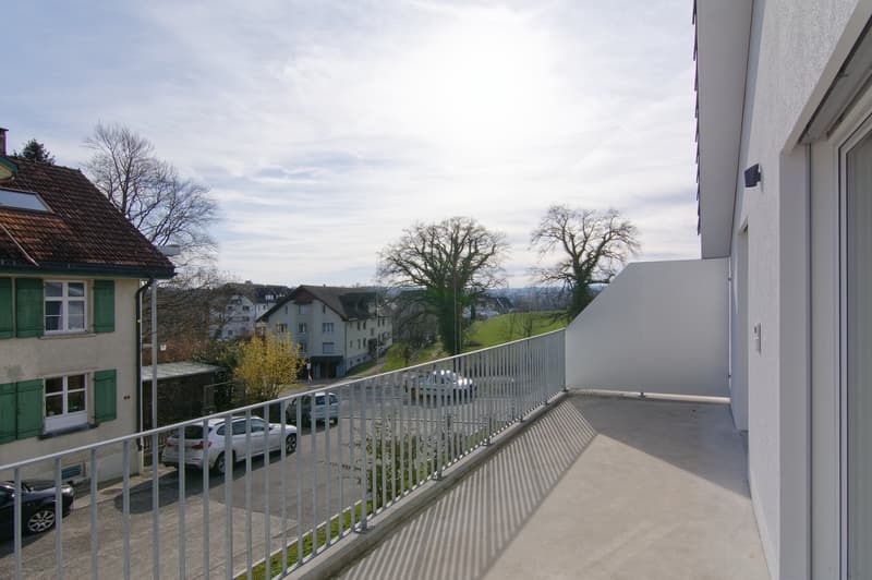 IMM_8387_immo
