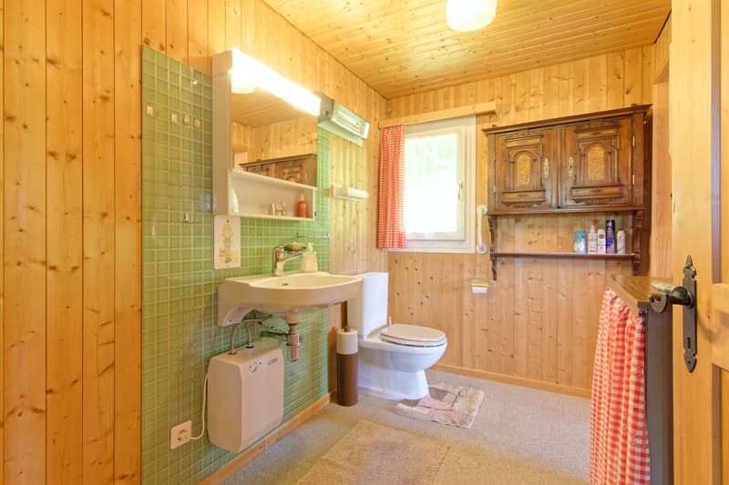 Freistehendes Einfamilienhaus mit Herz und Charme in naturnaher Lage (9)