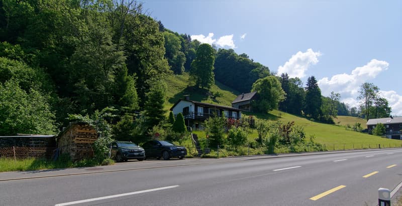 Freistehendes Einfamilienhaus mit Herz und Charme in naturnaher Lage (11)