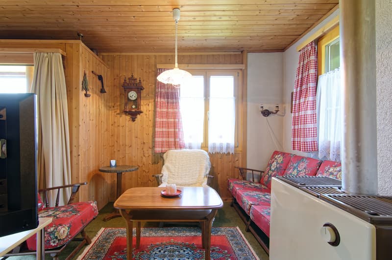 Freistehendes Einfamilienhaus mit Herz und Charme in naturnaher Lage (4)