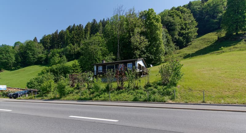 Freistehendes Einfamilienhaus mit Herz und Charme in naturnaher Lage (1)