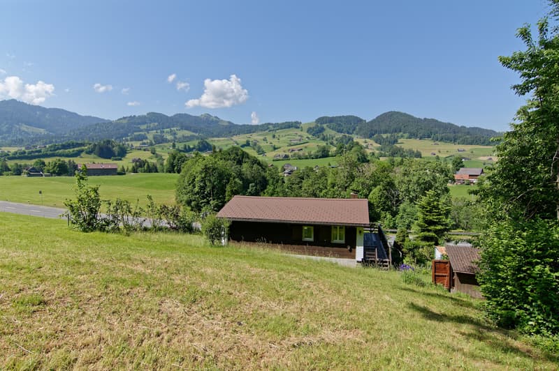Freistehendes Einfamilienhaus mit Herz und Charme in naturnaher Lage (12)