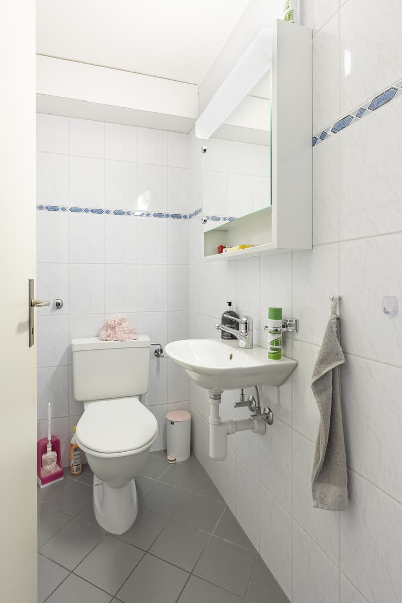 Bodensee-Lifestyle inklusive - Charmante 3.5 Zimmer mit Potenzial (12)