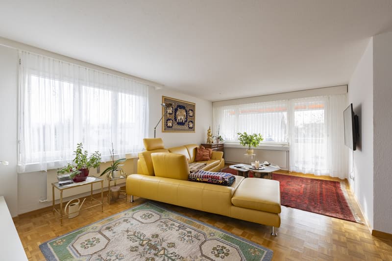 Bodensee-Lifestyle inklusive - Charmante 3.5 Zimmer mit Potenzial (1)