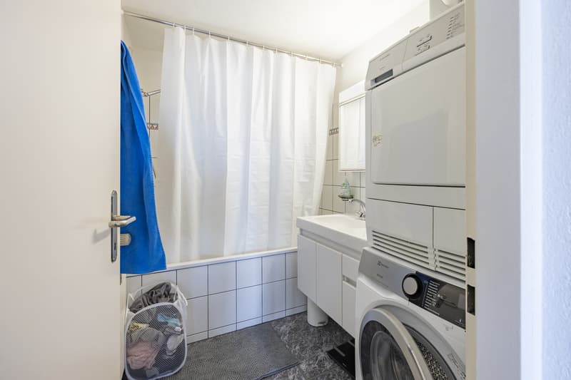 Wohnungspaket mit Potenzial inkl. Nebenobjekte vier Eigentumswohnung (12)