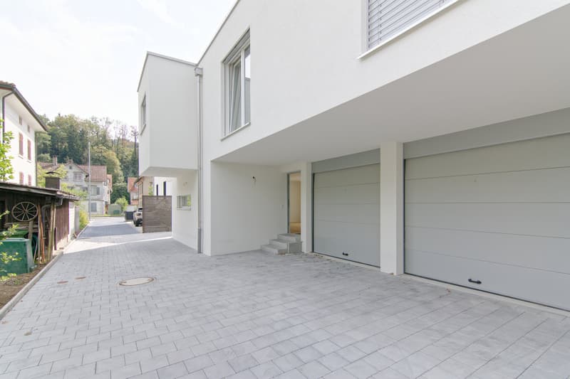 Zufahrt mit Garage u. Eingang