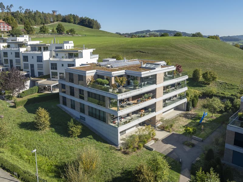 Raum für das Aussergewöhnliche  exklusives Penthouse in Wil (2)