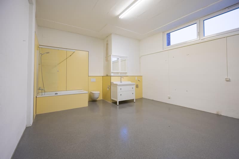 Appartement loft unique avec 320 m2 d'espace de vie (5)