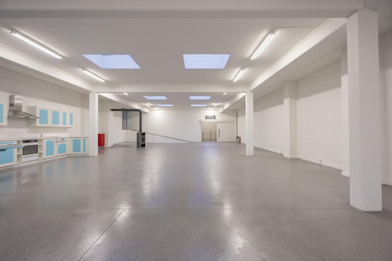 Appartement loft unique avec 320 m2 d'espace de vie (3)