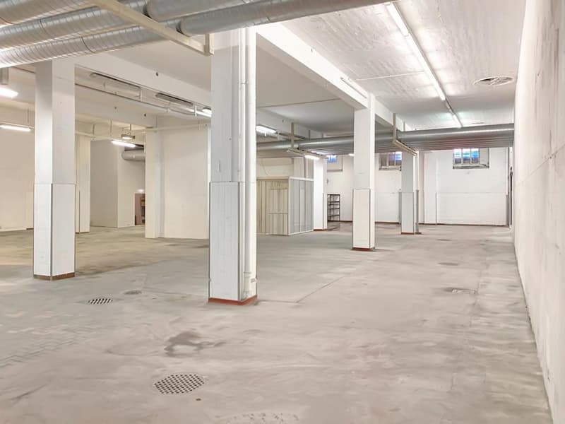 Espace de stockage ou de production flexible à louer à Bischofszell (4)