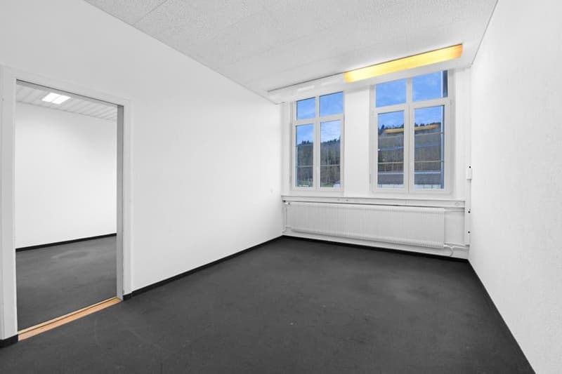 Unternehmerische Perspektiven für Büronutzung, Lagerfläche, Praxis, Atelier (6)