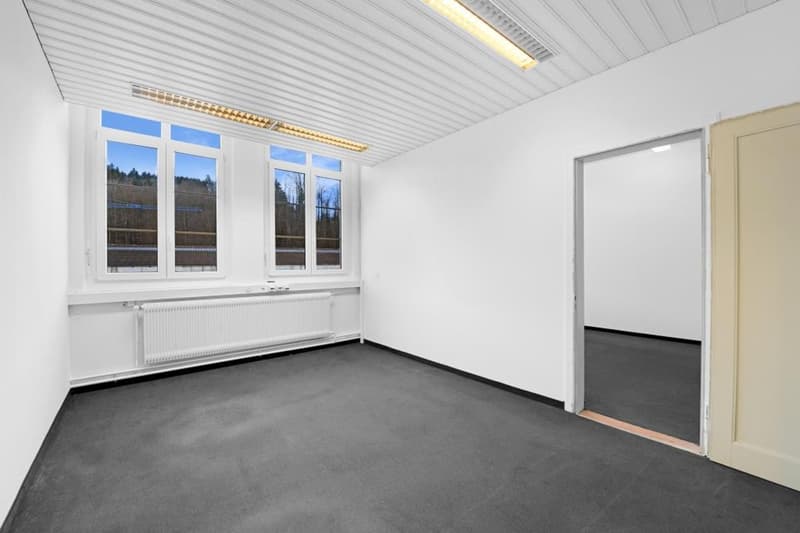 Unternehmerische Perspektiven für Büronutzung, Lagerfläche, Praxis, Atelier (4)