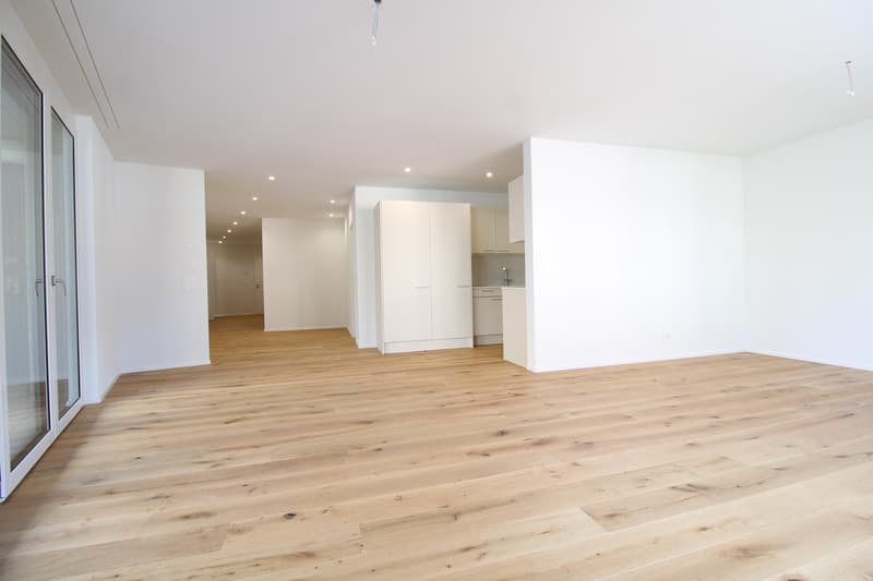4.5 Zimmerwohnung in St. Gallen (1)