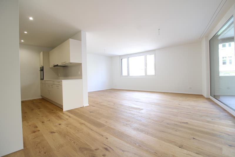 4.5 Zimmerwohnung in St. Gallen (3)