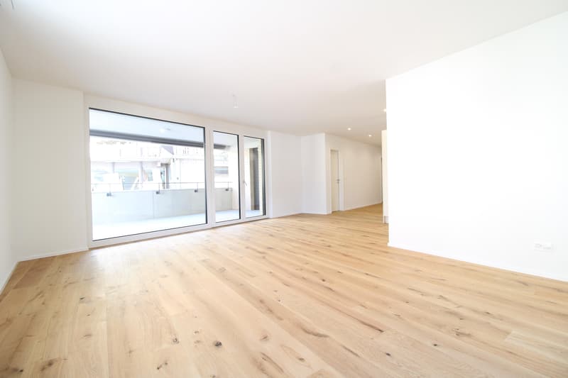 4.5 Zimmerwohnung in St. Gallen (4)