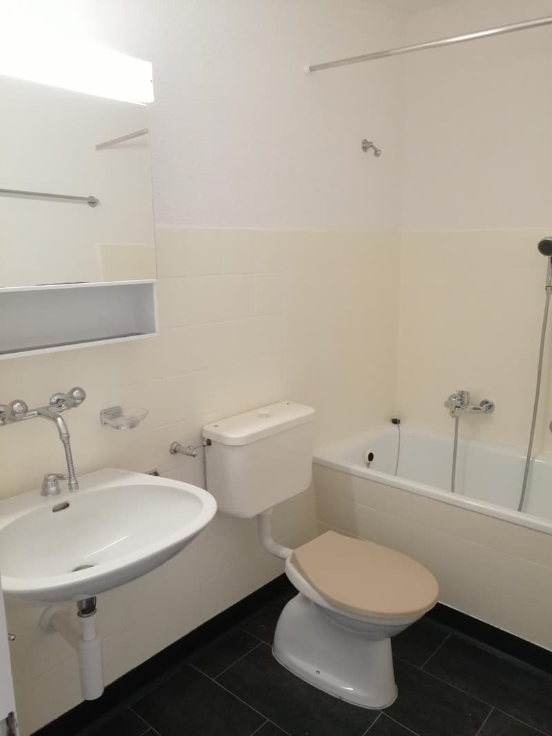 Schöne 1.5 Singlewohnung im Zentrum von Amriswil (3)