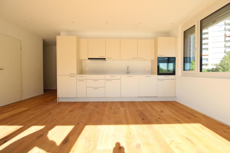 2.5 Zimmerwohnung in St. Gallen (4)