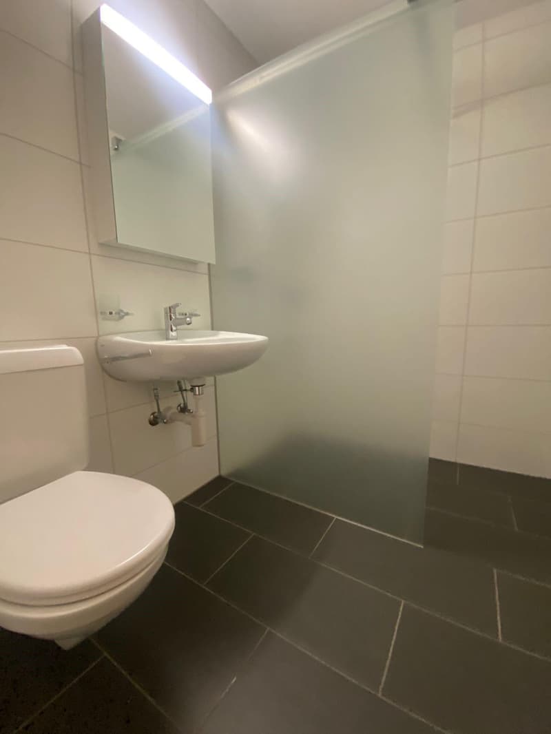 attraktive 3.5 Zimmerwohnung in Rorschach (9)