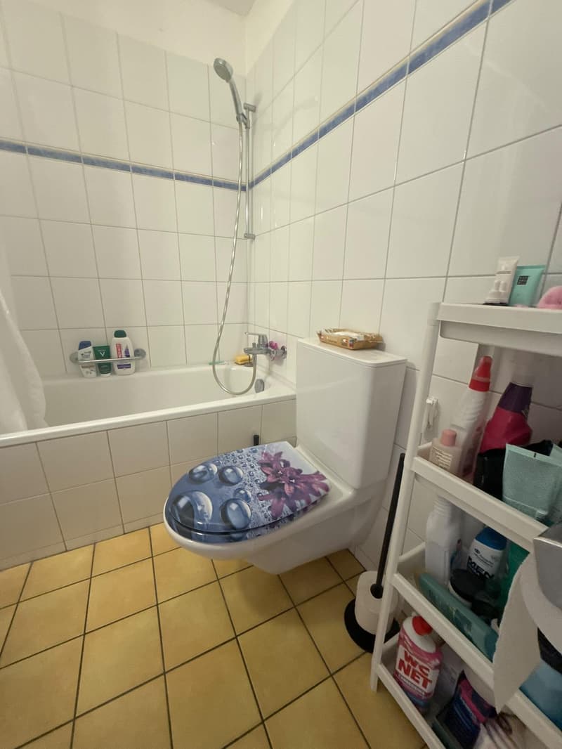 3.5 Zimmerwohnung in St. Gallen (6)