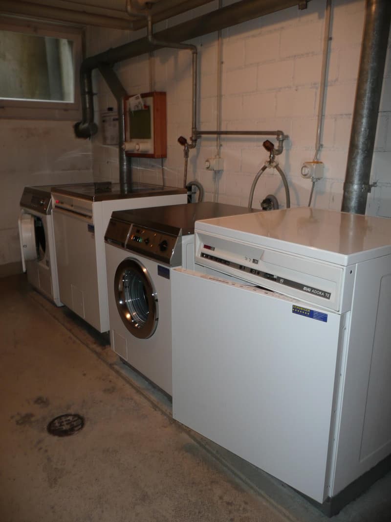 2.5 Zimmerwohnung in Wil (12)