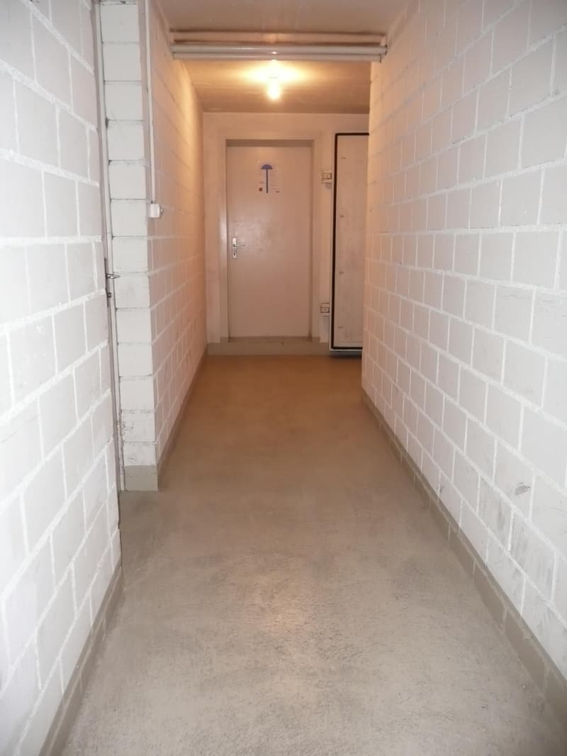 2.5 Zimmerwohnung in Wil (11)