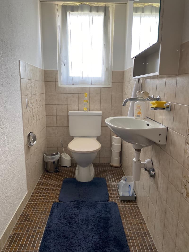 2.5 Zimmerwohnung in Wil (5)