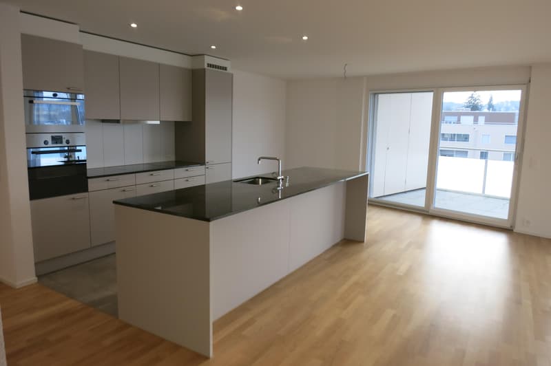 Attraktive 2½-Zimmer-Attikawohnung mit grosser Terrasse und Weitsicht in Kreuzlingen (2)