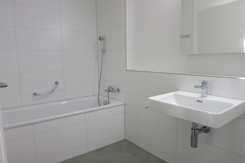 Attraktive 2½-Zimmer-Attikawohnung mit grosser Terrasse und Weitsicht in Kreuzlingen (4)
