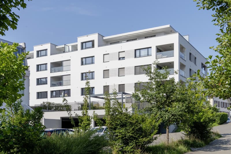 2.5 Zimmerwohnung in Rorschach (1)