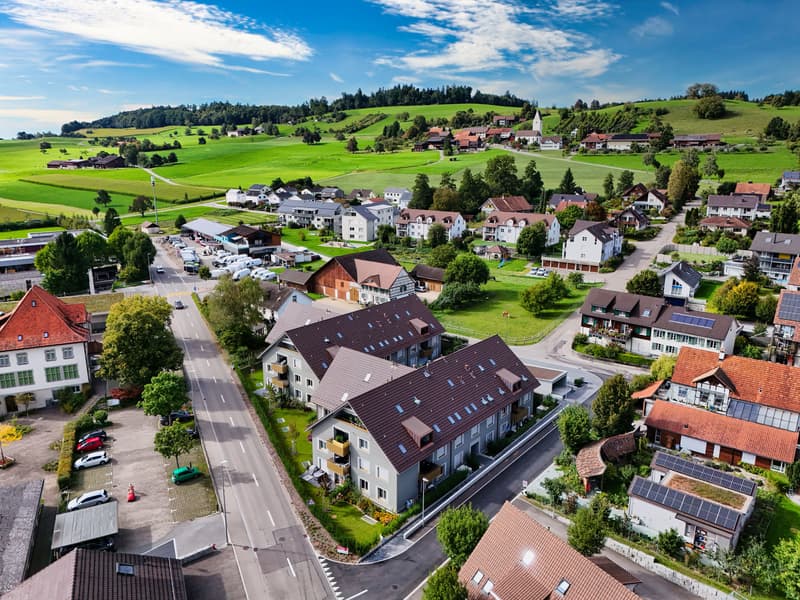 4.5-Zimmer-Wohnung Modernes Smart-Home im Grünen mit Gratis-Internet inklusive! (3)