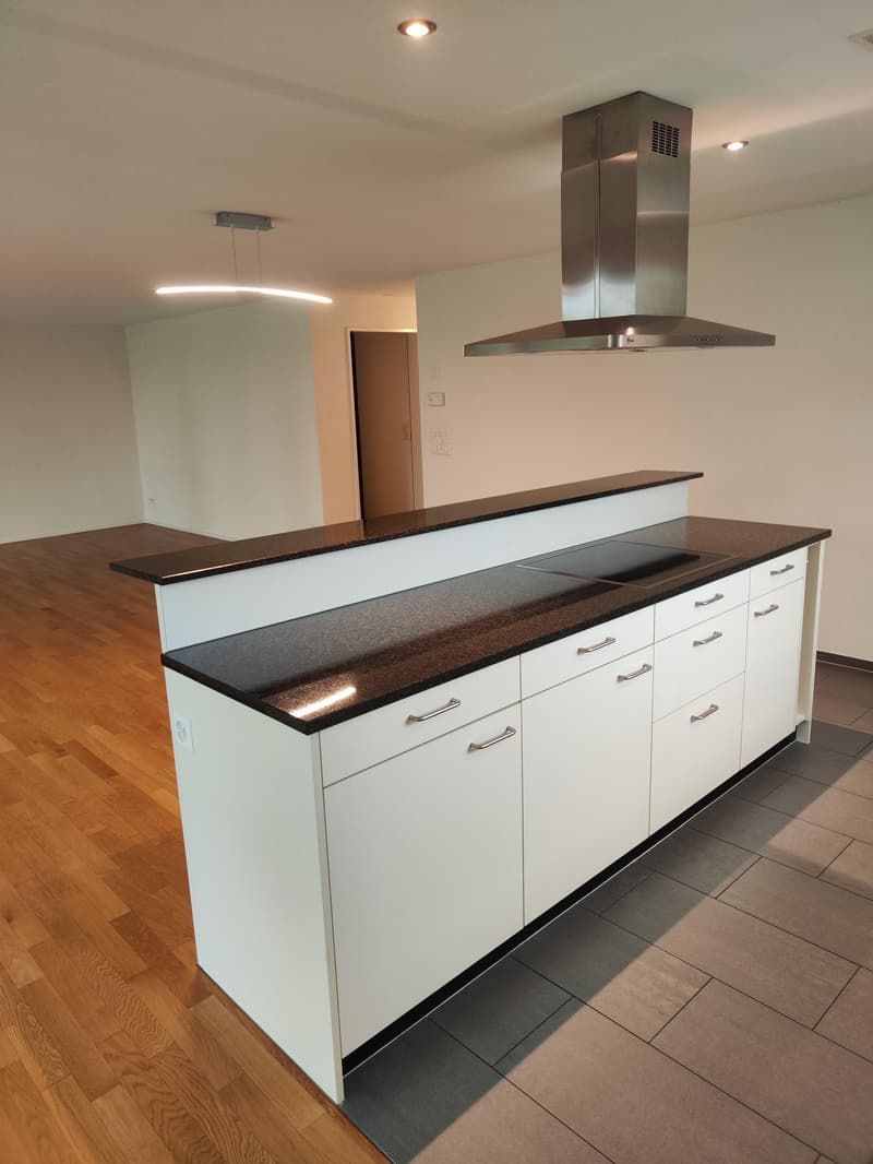 Moderne 3.5-Zimmer-Erdgeschosswohnung mit grosszügigem Sitzplatz (3)