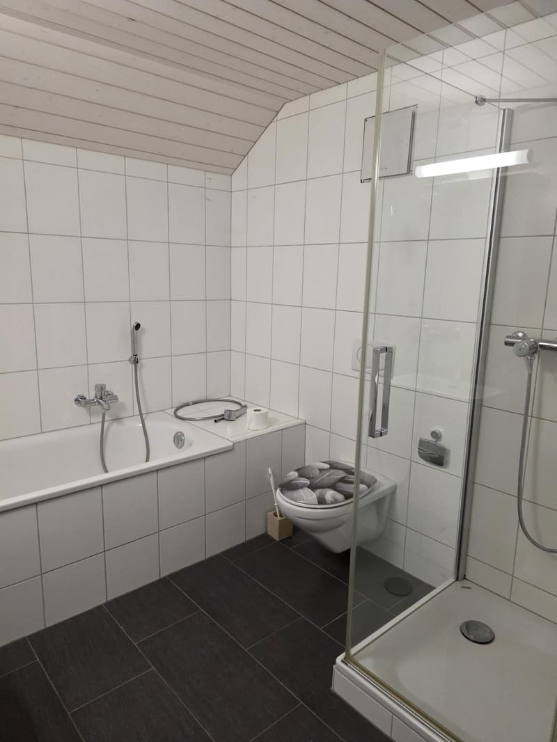 2.5 Zimmer-Loftwohnung im Zentrum von Amriswil (7)