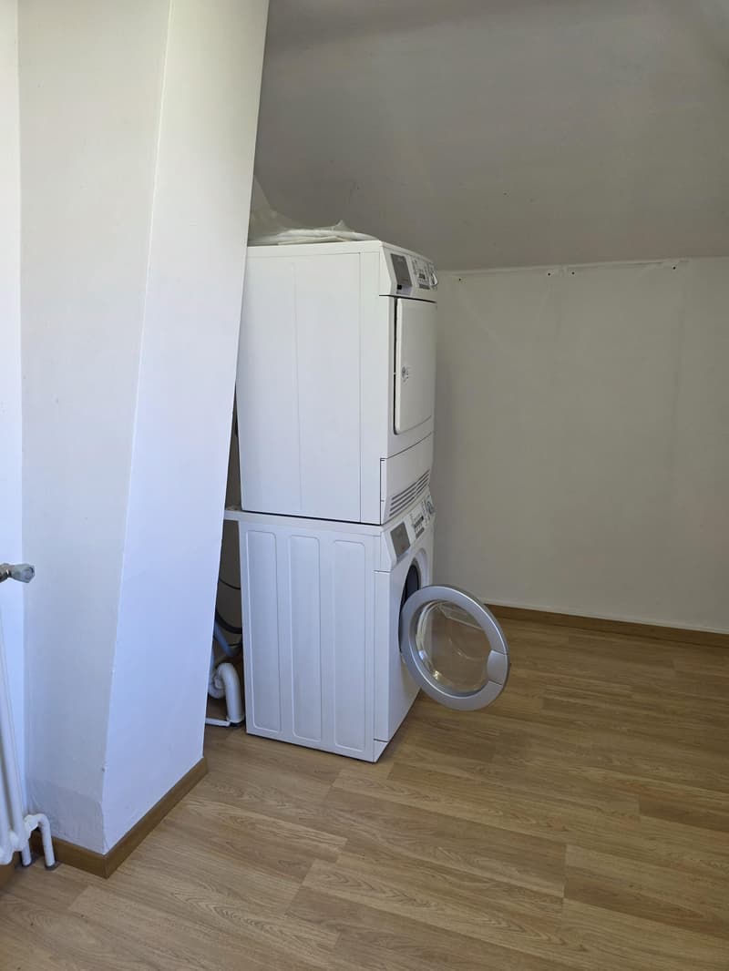 2.5 Zimmer-Loftwohnung im Zentrum von Amriswil (11)
