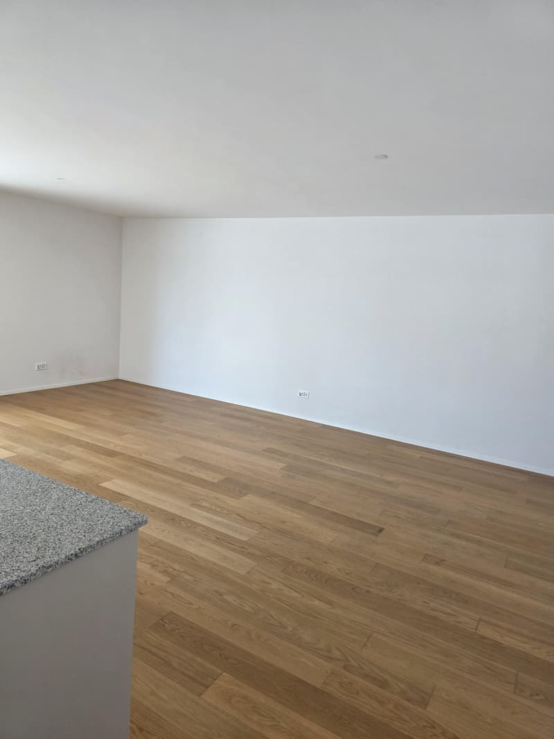 Moderne 2.5-Zimmer-Attikawohnung an zentraler Lage in Amriswil (7)