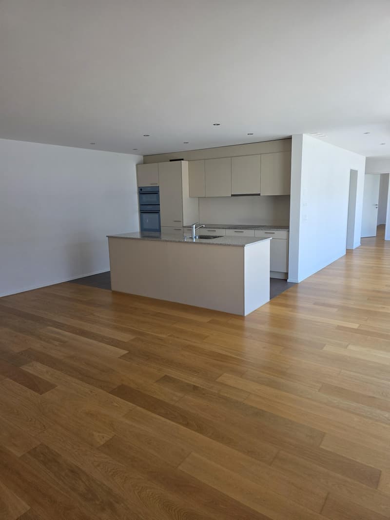 Moderne 2.5-Zimmer-Attikawohnung an zentraler Lage in Amriswil (6)