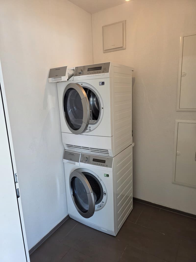 Moderne 2.5-Zimmer-Attikawohnung an zentraler Lage in Amriswil (13)