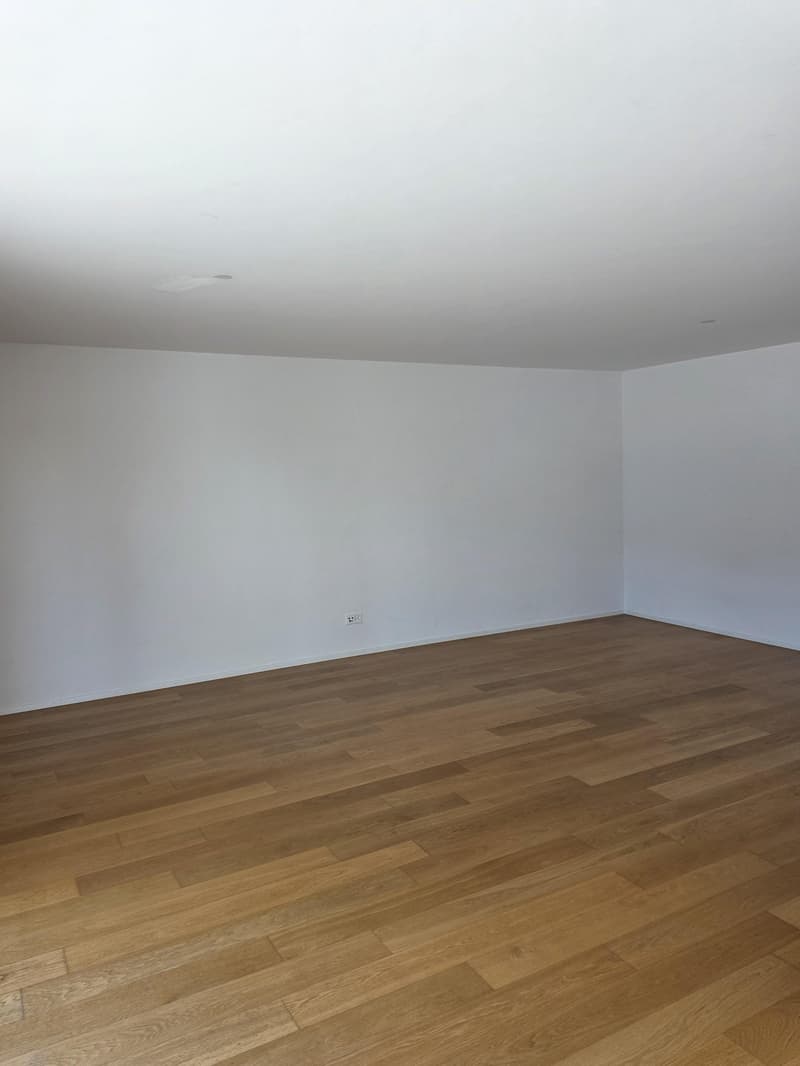 Moderne 2.5-Zimmer-Attikawohnung an zentraler Lage in Amriswil (9)
