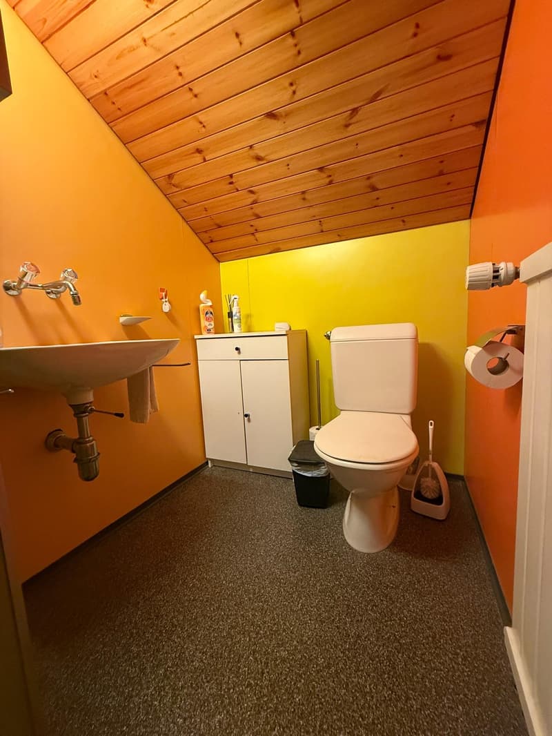 Grosszügige 5.5-Zimmer-Wohnung an ruhiger Lage in Niederteufen (7)
