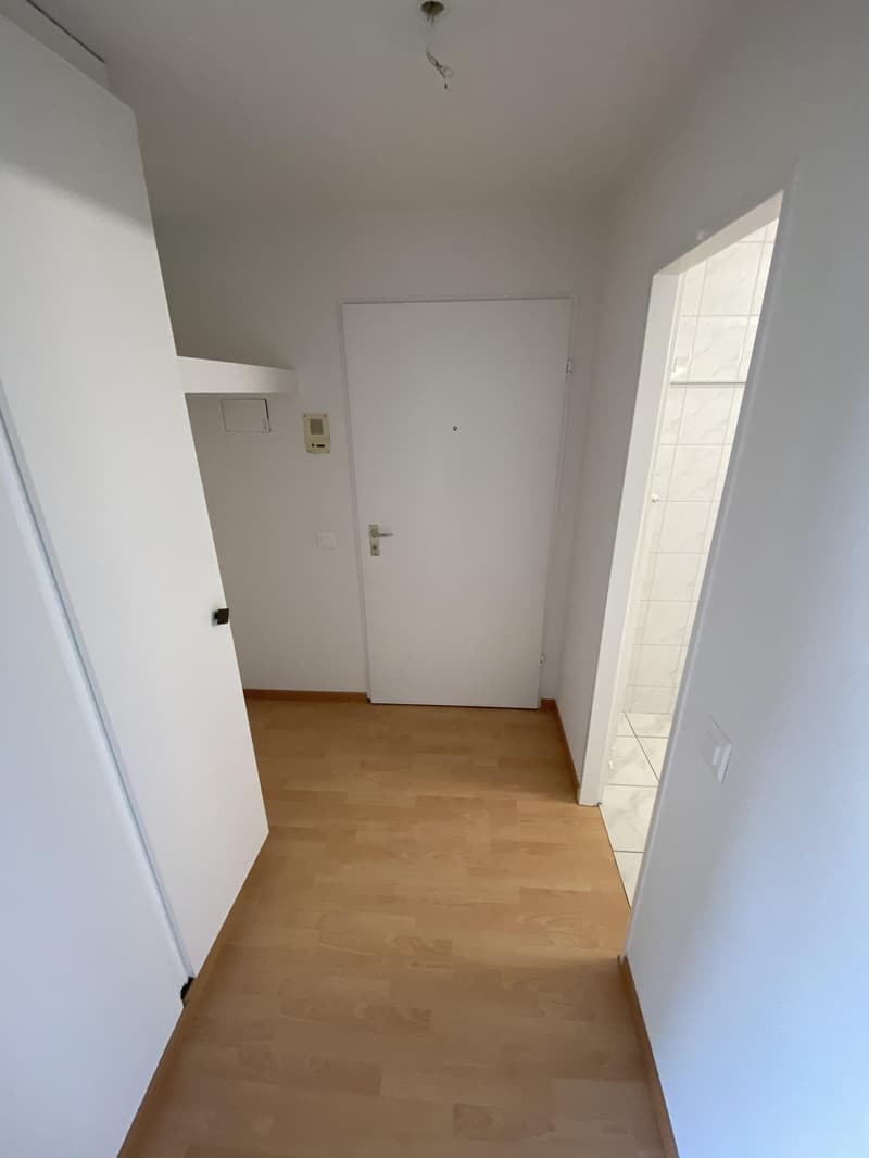 Schöne 1.5 Singlewohnung in Arbon (3)
