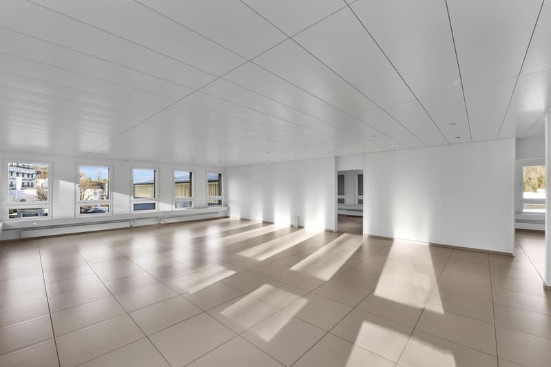 Grosszügige und lichtdurchflutete Büroflächen an attraktiver Lage (4)