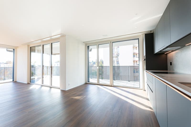3.5 Zimmerwohnung in Arbon (2)