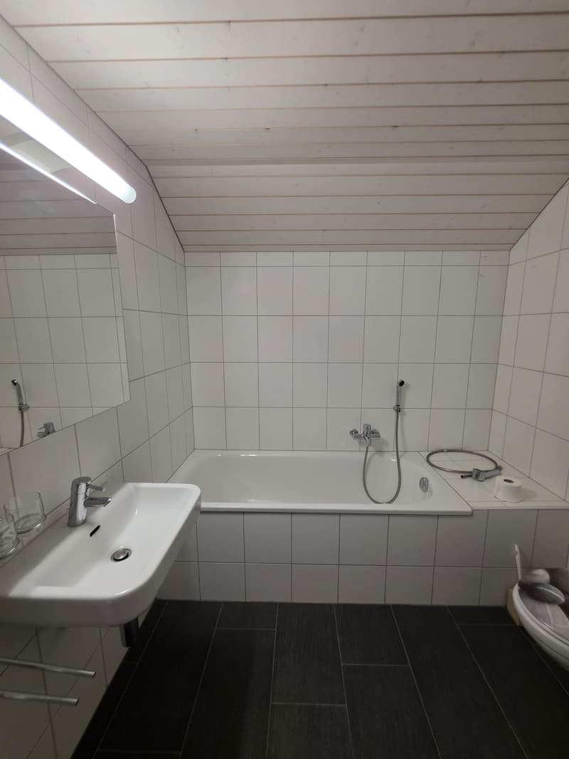 2.5 Zimmer-Loftwohnung im Zentrum von Amriswil (8)