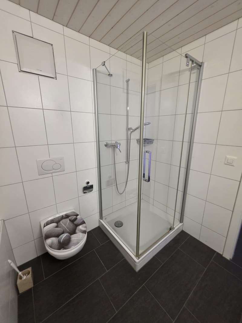 2.5 Zimmer-Loftwohnung im Zentrum von Amriswil (9)