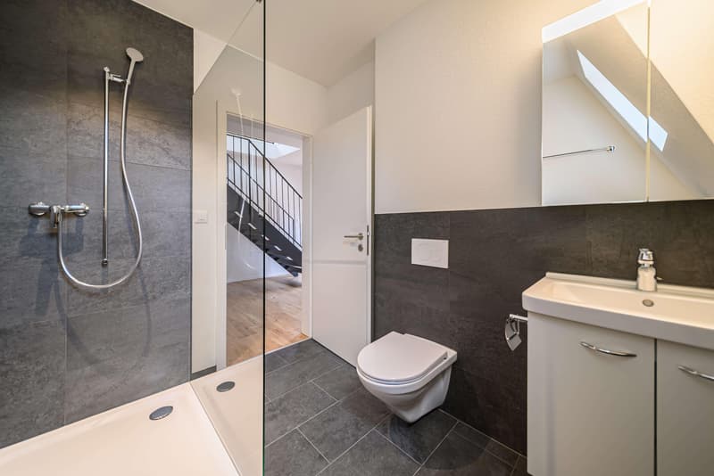 3.5 Zimmerwohnung in St. Gallen (3)