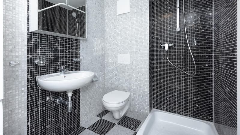 2.0 Zimmerwohnung in St. Gallen (7)