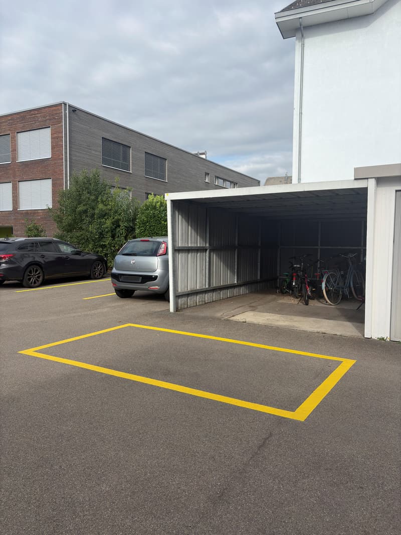 Garage/Aussenabstellplatz in Amriswil (3)