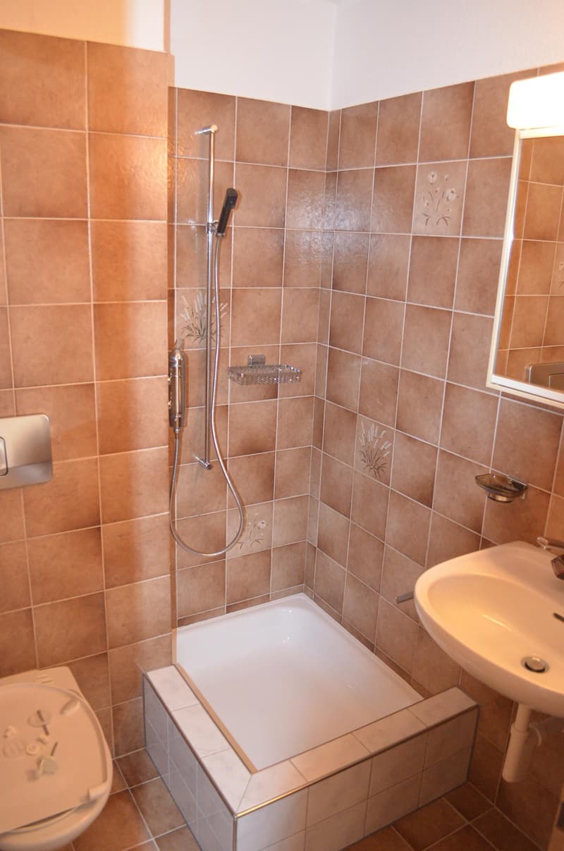 Attraktive 4.5-Zimmerwohnung an zentraler Lage in St. Gallen (9)