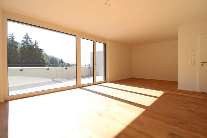 2.5 Zimmerwohnung in St. Gallen (4)