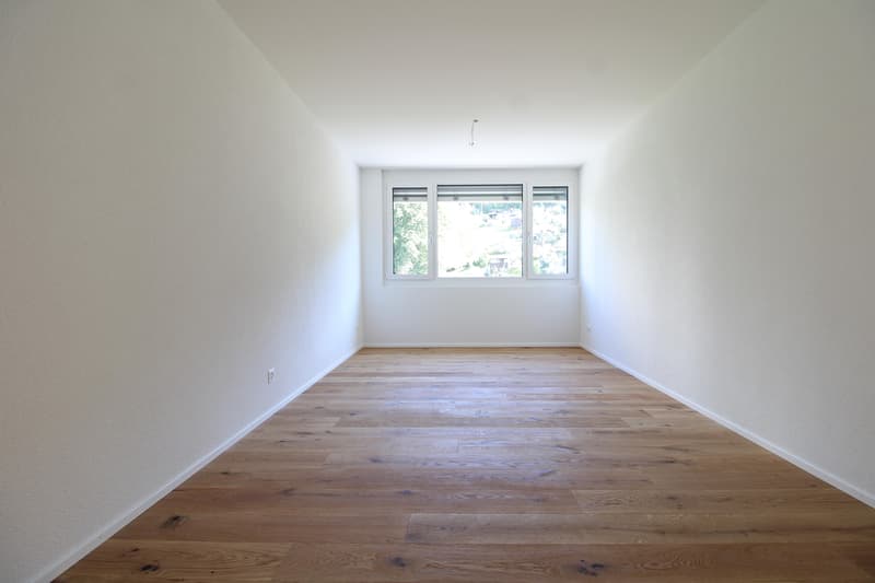 2.5 Zimmerwohnung in St. Gallen (7)