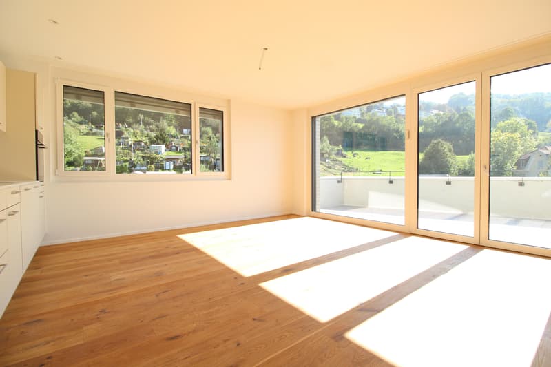 2.5 Zimmerwohnung in St. Gallen (5)